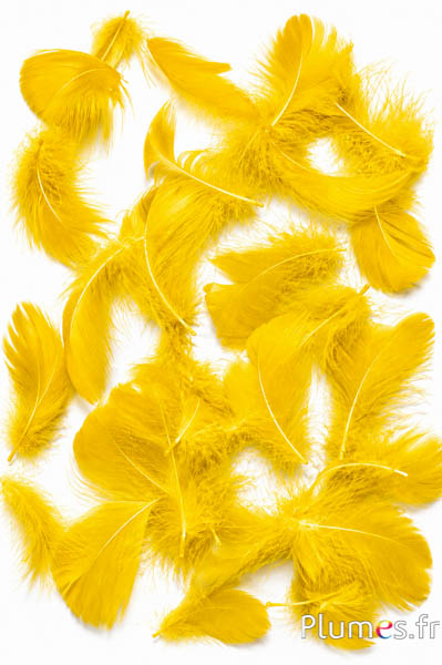 Gans - 4-6 cm - gelb